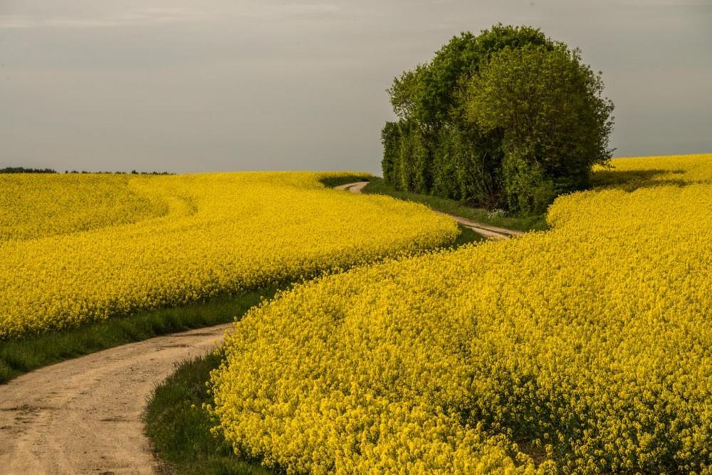 Eco Gite Argonne, Gite Insolite Lisle-en-Barrois Exteriér fotografie